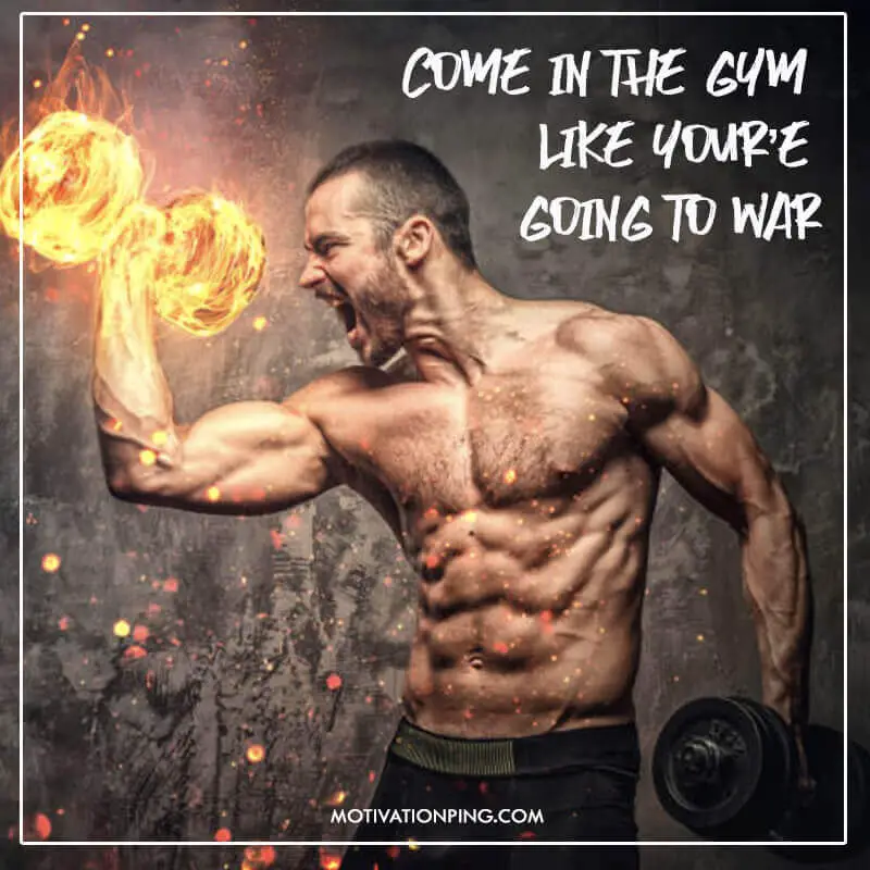 Bodybuilding Quotes For Motivation Weightlifting