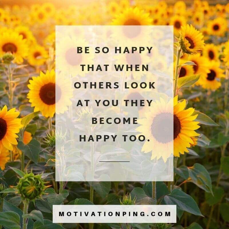 100 Happiness Quotes To Feel Good Make You Smile